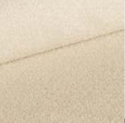 Coco 03 - Beige